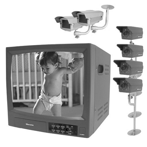 Wisecomm 14 Observation System w/Indoor Indoor Cameras (Black & White)