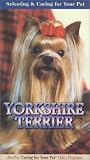 Selecting and Caring For Your Pet Yorkshire Terrier [VHS]