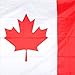 Fox Outdoor 84-21 3' x 5' Flags