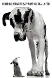 Produkt-Bild: Empire 399755 Hunde - Never Be Afraid To Say Poster - 61 x 91.5 cm