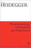 Phenomenology of intuition and expression : theory of philosophical concept formation