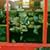 Nighthawks At The Diner
