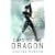 Chasing the Dragon (Quantum Gravity 4)