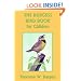 The Burgess Bird Book for Children  (Yesterday's Classics)