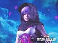 Ninja Gaiden Ninja Gaiden