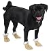 Pet Supplies : X-SMALL - Casual Canine Cozy Dog Boots - BROWN