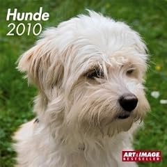 Hunde 2010. Brosch�renkalender: 16-Monats-Kalender