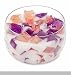Primal Elements - Two Wick Color Bowl Candle (Vanilla Fig)