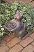   - CAT birdfeeder BIRD FEEDER Garden Statue lawn yard