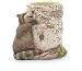 RACOON Wildlife bathroom Tumbler LODGE rustic decor NEW