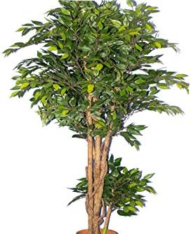 Artificial Uv Mini Ficus 5ft 2ct. UV Rated. Will Not Fade. 2yr Manufacturer Warranty Included