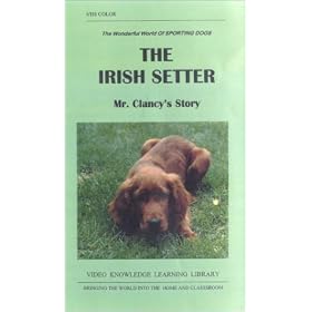 THE IRISH SETTER...Mr. Clancy's Story [VHS]