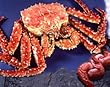 10 pounds Giant Alaskan Red King Crab