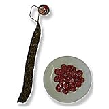 D&uuml;nne, luftgetrocknete Salami mit Kr&auml;utermantel - ca. 160 gr