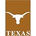 Texas Longhorns NCAA Screen Print Flag
