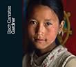 Bach Cantatas: Vol 11