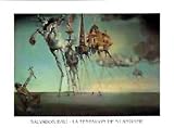 Posters: Salvador Dali Poster Art Print - La Tentation De St.Antoine (28 x 20 inches)