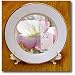 Life is Inspiration Iceland Poppy Flowers Inspirational Quote - 8 Inch Porcelain Plate