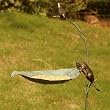 Bird & Cat Garden Stake Birdfeeder
