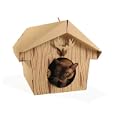 Loyal Luxe Canadian Cabin For Fluffy Little Critters