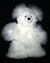 Soft Cuddly Baby Alpaca Fur Stuffed Hand Made Panda Teddy Bear 13 Inch Size ATB_WHITE13_043
