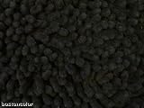  : Black Onyx Cotton Plush Boucle Bath Rug