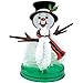DCI Do-It-Yourself Magic Growing Snowman