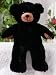 Black Bear 15