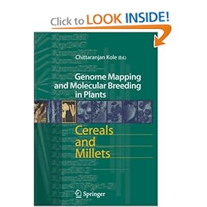 Millets Crops