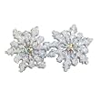 White Glitter Snowflake Pierced Earrings