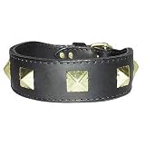 1.25 in. Latigo Sphinx Dog Collar model 6029 (Black, 20 in.)