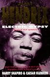 Jimi Hendrix : electric gypsy