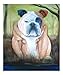 Bulldog in a Bog Animals Giclee Poster Print by Laura Barbosa, 20x24