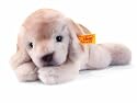 Steiff 280252 - Steiff's kleiner Freund Labrador-Welpe Luca, 22 cm, creme