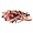 Syracuse Orange