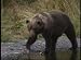 The National Wildlife Refuges of Alaska