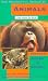 The Wonderful World Of Animals From Around The World - Voyage 5 - Australia And Indonesia [1996]