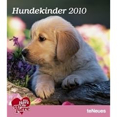 Hundekinder 2010. Wandkalender: Ein Herz f�r Tiere