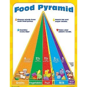 food pyramid
