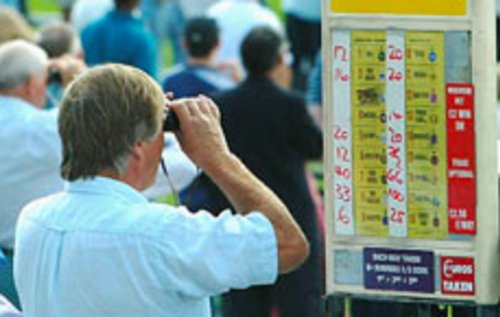 The 78% Horse Racing System
