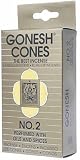 GONESH �C���Z���X �R�[�� No.2