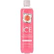 Sparkling ICE Spring Water, Pink Grapefruit, 17-Ounce Bottles (Pack of 12)