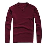 Allegra K Men Knitted Long Sleeve V Neck Pullover Fall Sweater XS