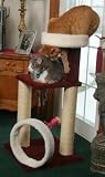 Pet Supplies : Paus Hoop Platform and Nest