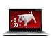 Lenovo Ideapad U-350 (2963-47U) 13.3-Inch Black Laptop - Up to 5 Hours of Battery Life (Windows 7 Home Premium)