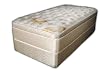 Caricia EuroTop Queen Bed By Casa Cristina Lady Americana