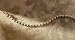 Sporting Goods : Jacquelin Farre Genuine Diamond Tennis Bracelet