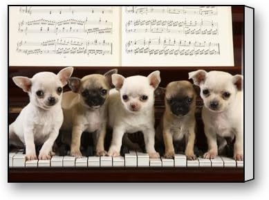 Funnyone Custom Modern Wall Art Decoration for Home Musical Chihuahuas Canvas Prints