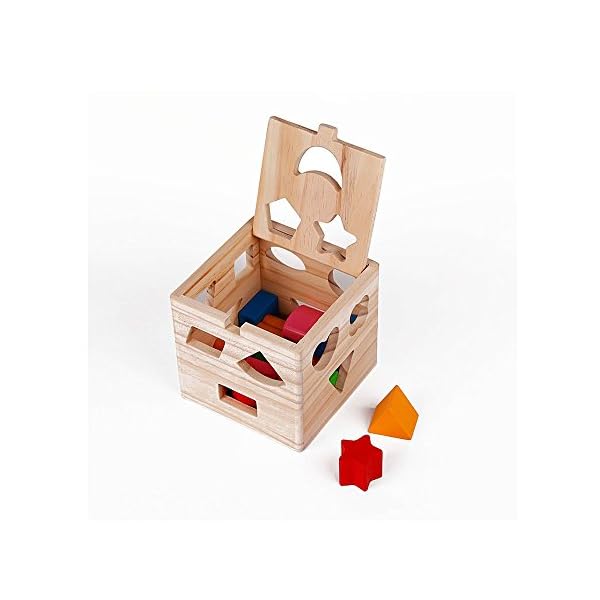 Geekercity 13 Hole Cube for Shape Sorter Cognitive And Matching Wooden