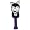 Washington Huskies
